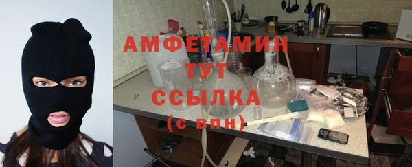 сатива Вязники
