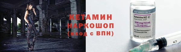 сатива Вязники