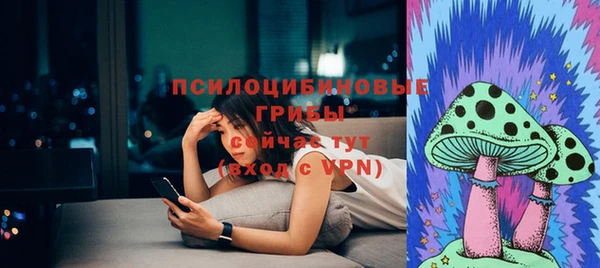 сатива Вязники