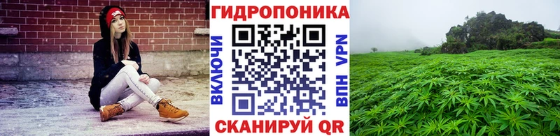 Каннабис семена  Купить закладки  Камызяк 